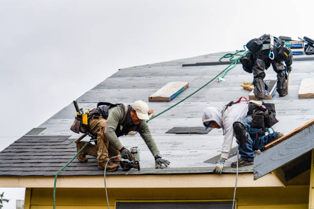 Professional Roofing technician working in Kingston, IL